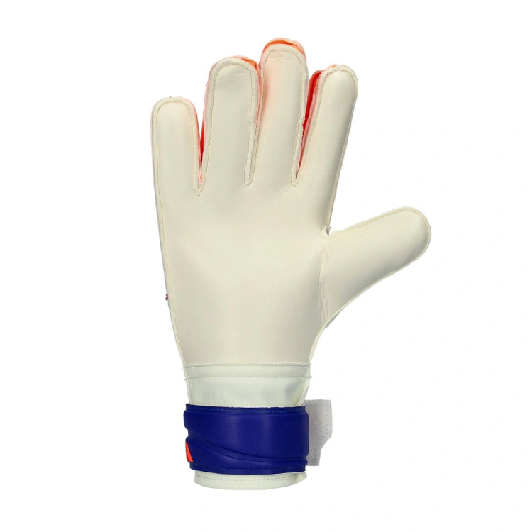 PREDATOR GL TRAINING CORAL – Image 4